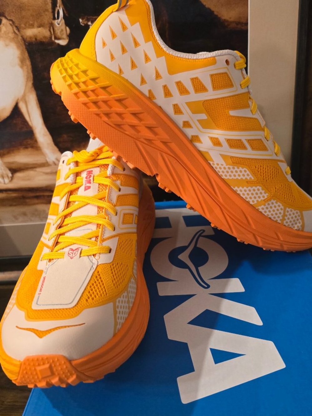 Hoka One One Speedgoat 2 Orange 1162710-DRL Trail Men’s Size 12 Shoes NEW
